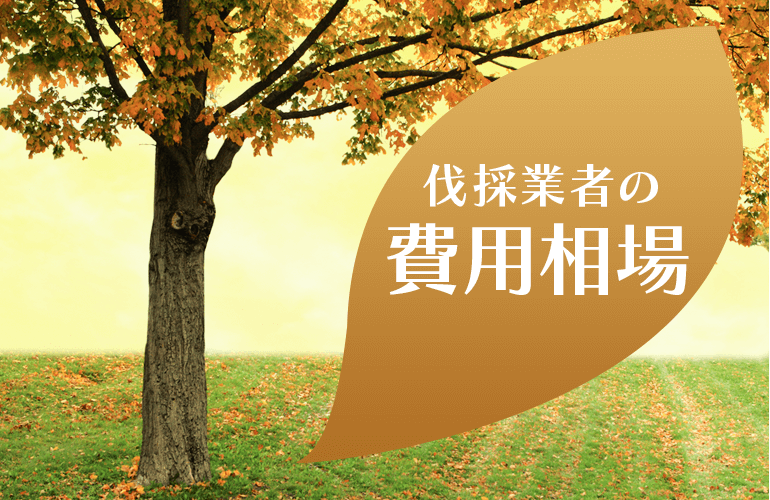 伐採業者の費用相場