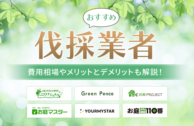 伐採業者おすすめ10選【2024】相場やメリットとデメリットも解説！ | ボイスノートマガジン