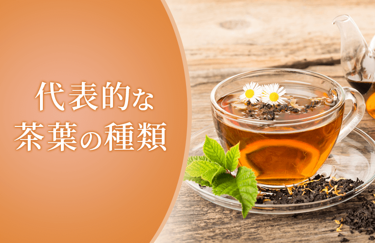 代表的な茶葉の種類と特徴