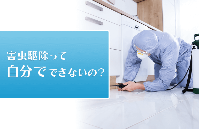 害虫駆除って自分でできない