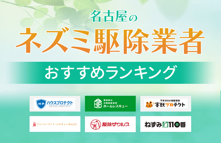 名古屋のネズミ駆除業者おすすめ人気ランキング
