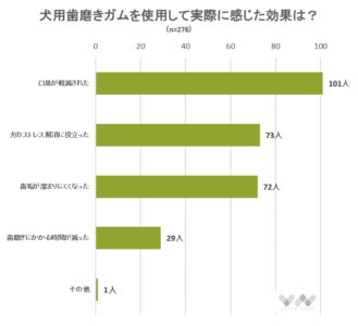 948人が選ぶ 犬用歯磨きガムのおすすめランキング ワンちゃん向け人気オーラルケアおやつを紹介 ボイスノートマガジン