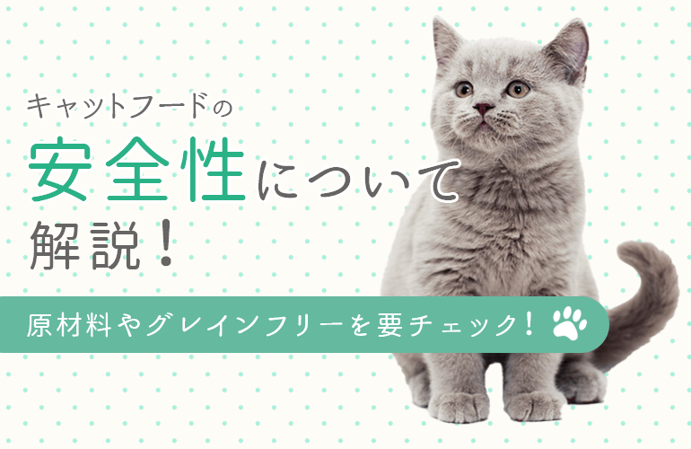 獣医師監修 キャットフードのおすすめ人気ランキング 22 選び方やフードの安全性についても解説 ボイスノートマガジン