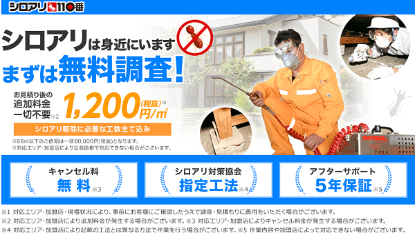 4人が選ぶ シロアリ駆除業者おすすめ人気ランキング 21 駆除方法や業者の選び方も解説 ボイスノートマガジン