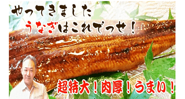 766人が選ぶ うなぎ通販のおすすめランキング 21 美味しく調理する方法や選び方も紹介 ボイスノートマガジン